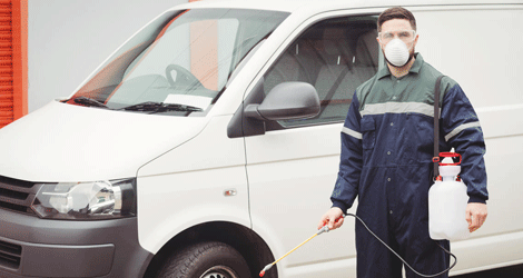 Pest Control Services In Georgetown
