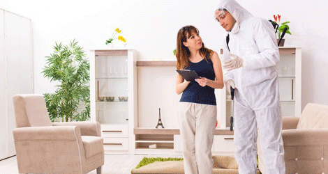 Pest Control Services In Guelph